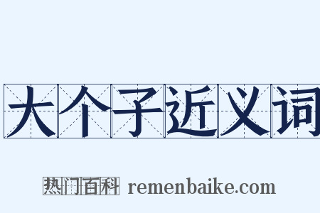 大个子近义词是什么意思的图片